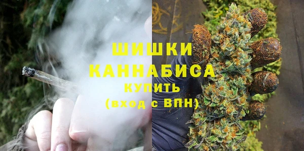 твердый Аркадак