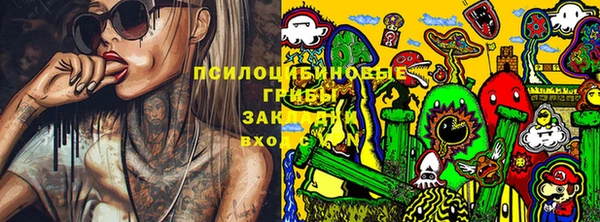 твердый Аркадак